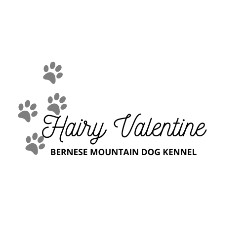 Hairy Valentine