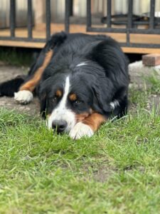 IMG_1814